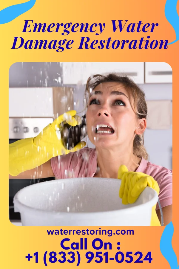 Emergency Water Damage Restoration in Nichols, IA