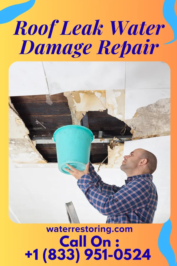 Roof Leak Water Damage Repair in Nichols, IA